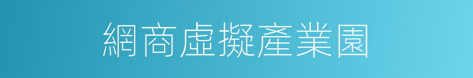 網商虛擬產業園的同義詞