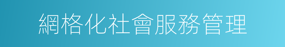 網格化社會服務管理的同義詞