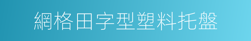 網格田字型塑料托盤的同義詞