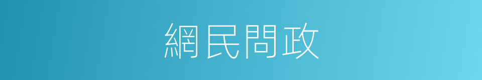網民問政的同義詞