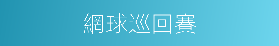 網球巡回賽的同義詞