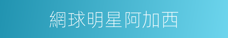 網球明星阿加西的同義詞