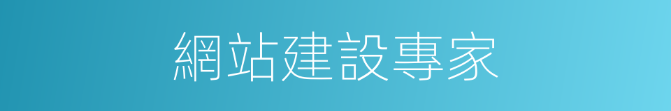 網站建設專家的同義詞