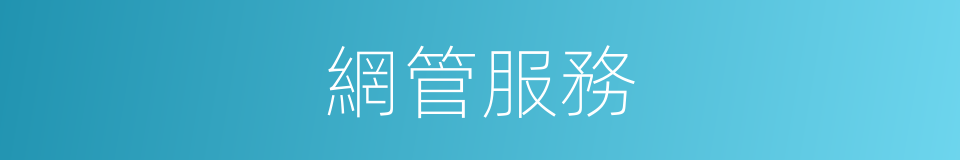 網管服務的同義詞