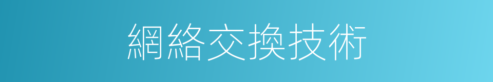 網絡交換技術的同義詞