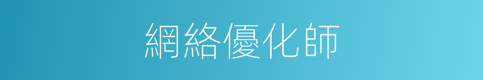 網絡優化師的同義詞