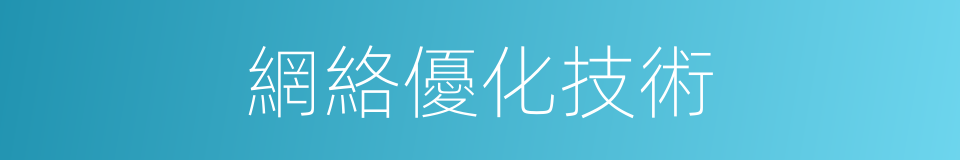 網絡優化技術的同義詞