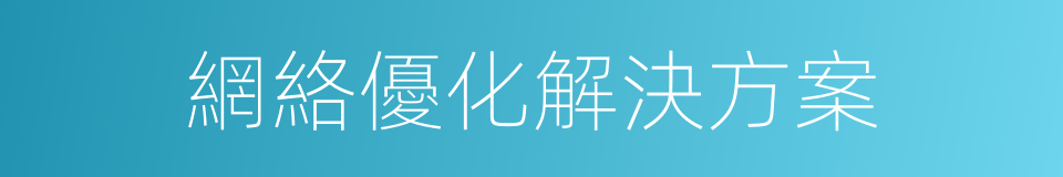 網絡優化解決方案的同義詞
