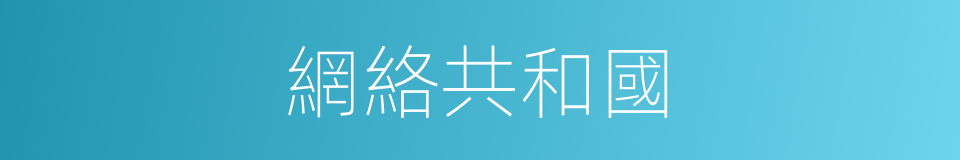 網絡共和國的同義詞