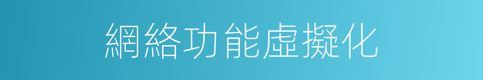 網絡功能虛擬化的同義詞