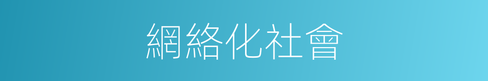 網絡化社會的同義詞