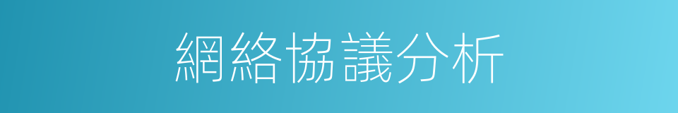 網絡協議分析的同義詞