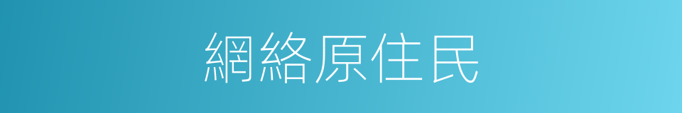 網絡原住民的同義詞