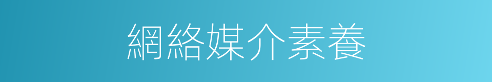 網絡媒介素養的同義詞