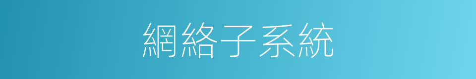 網絡子系統的同義詞