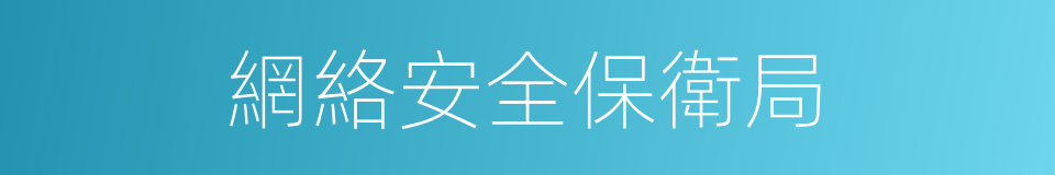 網絡安全保衛局的同義詞