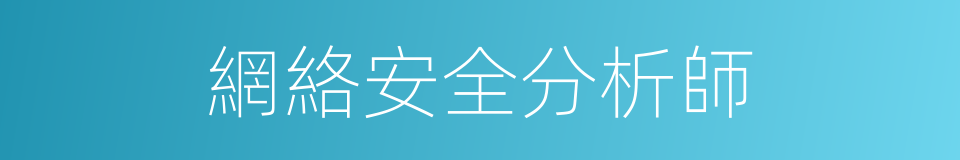 網絡安全分析師的同義詞