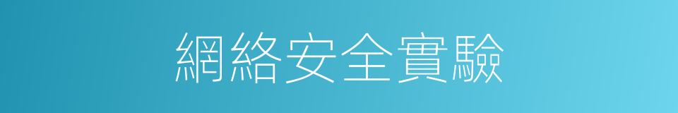 網絡安全實驗的同義詞