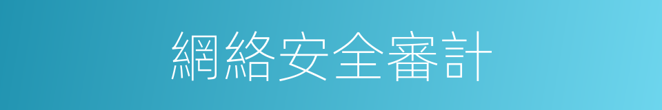 網絡安全審計的同義詞