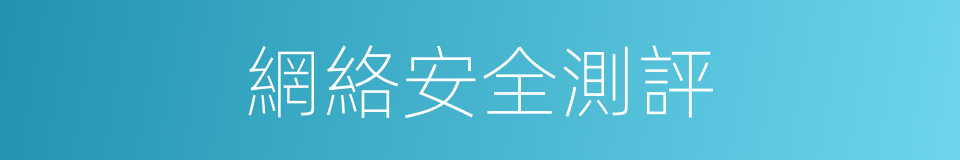 網絡安全測評的同義詞