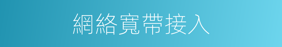 網絡寬帶接入的同義詞