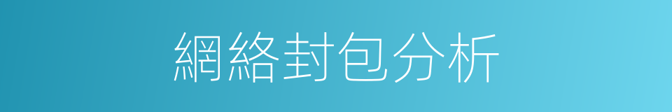 網絡封包分析的同義詞