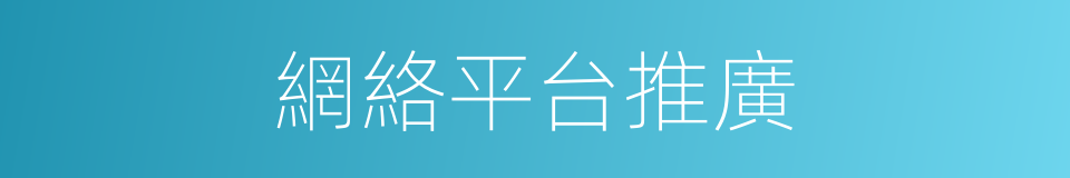 網絡平台推廣的同義詞