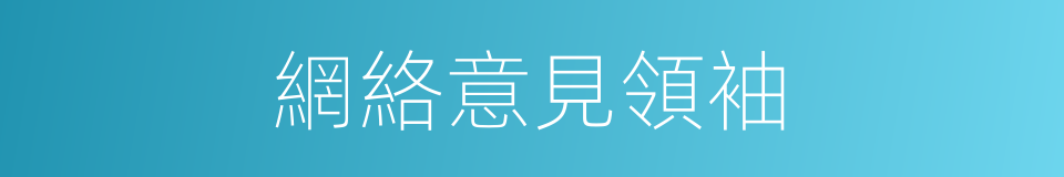網絡意見領袖的同義詞