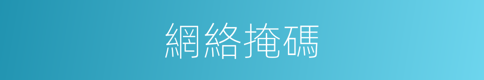 網絡掩碼的同義詞