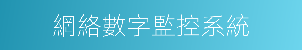 網絡數字監控系統的同義詞