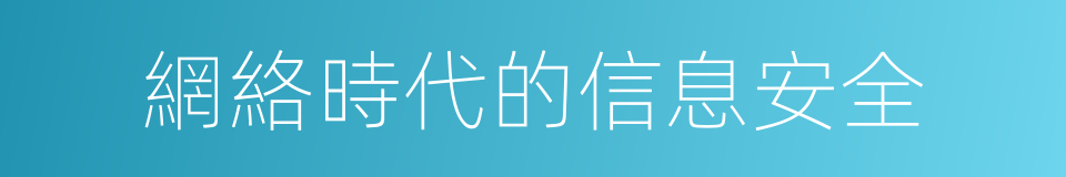 網絡時代的信息安全的同義詞