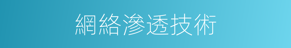 網絡滲透技術的同義詞