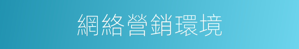 網絡營銷環境的同義詞