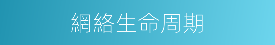 網絡生命周期的同義詞