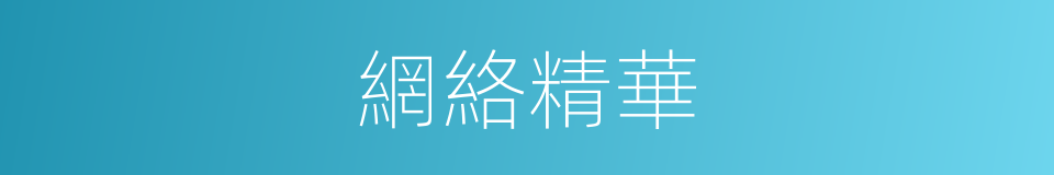 網絡精華的同義詞