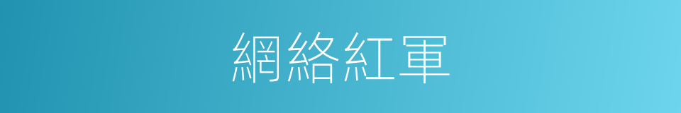 網絡紅軍的同義詞