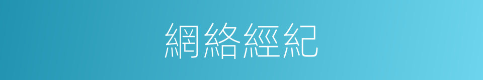 網絡經紀的同義詞