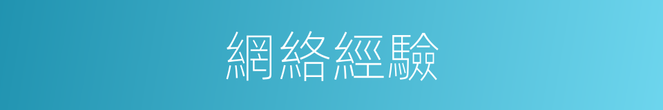 網絡經驗的同義詞