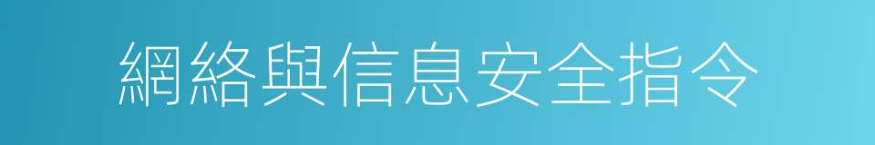 網絡與信息安全指令的同義詞