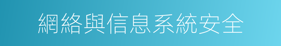 網絡與信息系統安全的同義詞