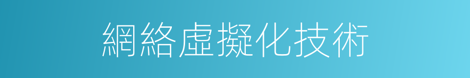 網絡虛擬化技術的同義詞