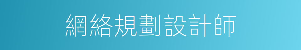 網絡規劃設計師的同義詞
