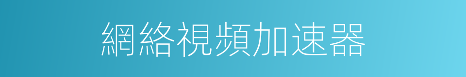 網絡視頻加速器的同義詞