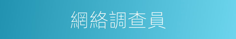 網絡調查員的同義詞