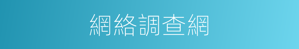 網絡調查網的同義詞