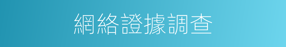 網絡證據調查的同義詞