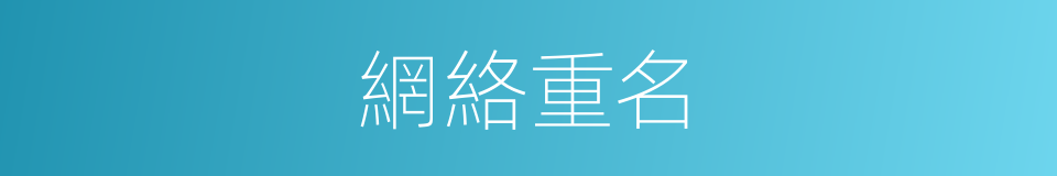 網絡重名的同義詞