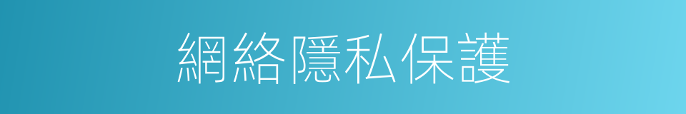 網絡隱私保護的同義詞