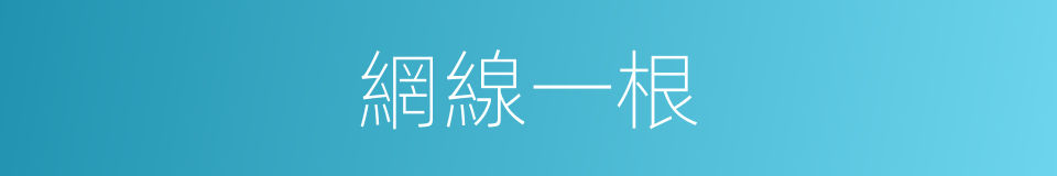 網線一根的同義詞