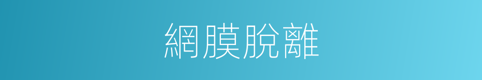 網膜脫離的同義詞